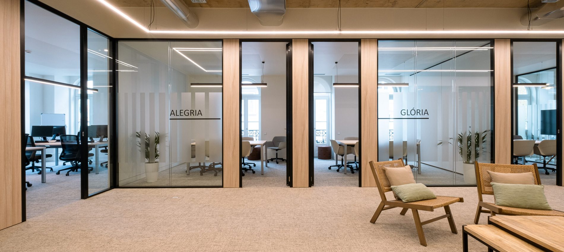 Alegria one 7
